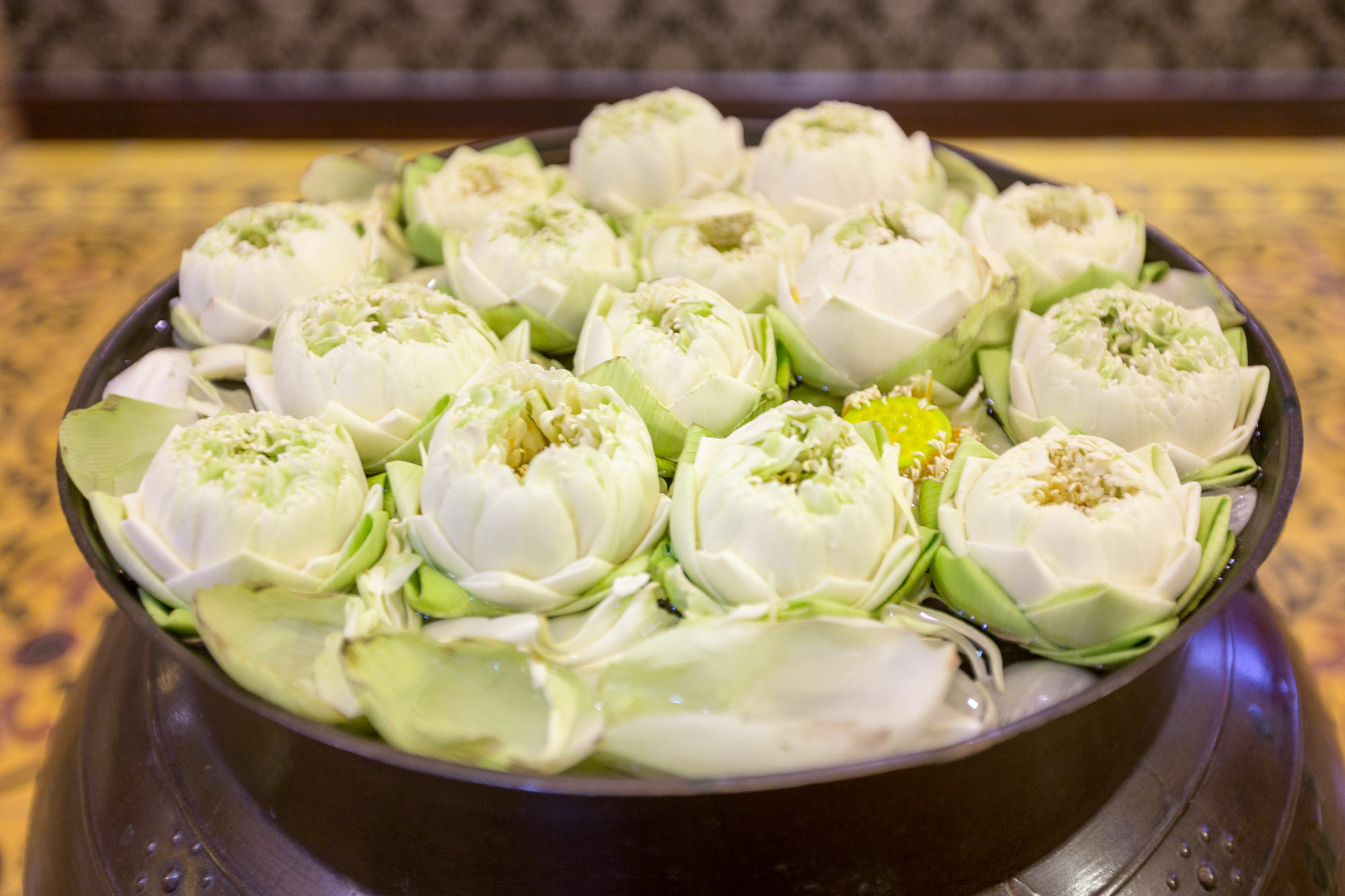 Jasmin Monument Hotel Phnom Penh Eksteriør bilde